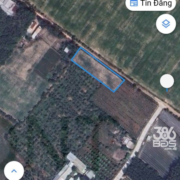 Bán đất xã Phú Mỹ Hưng , huyện Củ Chi tổng dt 1200m2 ( 300m2 thổ cư ) giá 2,5 tỷ-4