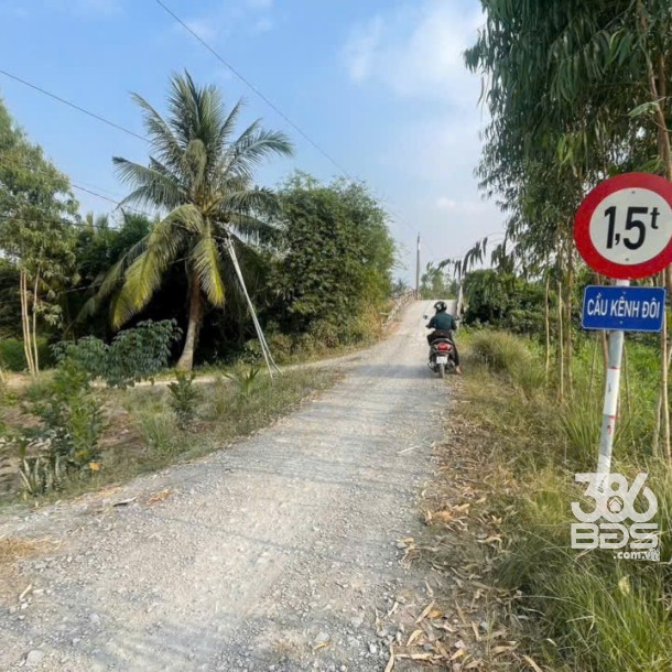 Bán đất vườn mặt tiền kênh ở xã Tân Hòa, Bến Lức dt 7896m2 giá 7,2 tỷ-1