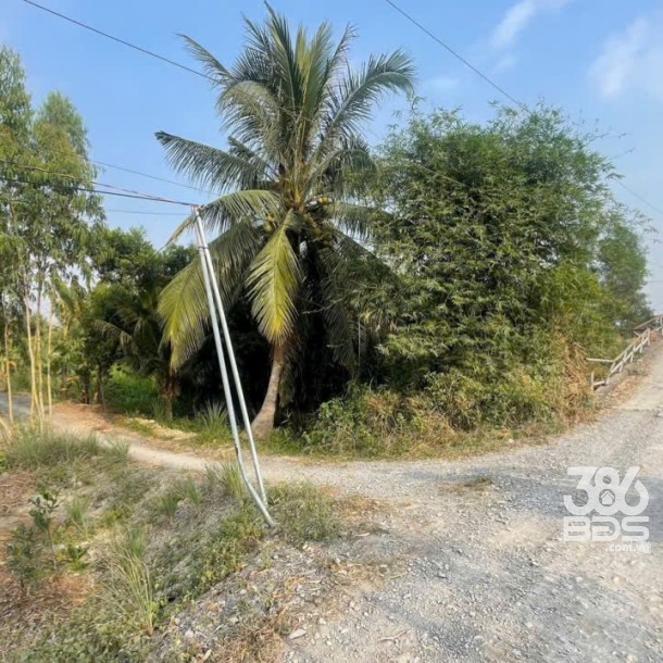 Bán đất vườn mặt tiền kênh ở xã Tân Hòa, Bến Lức dt 7896m2 giá 7,2 tỷ-3