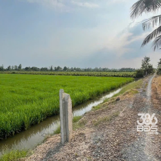 Bán đất vườn mặt tiền kênh ở xã Tân Hòa, Bến Lức dt 7896m2 giá 7,2 tỷ-8