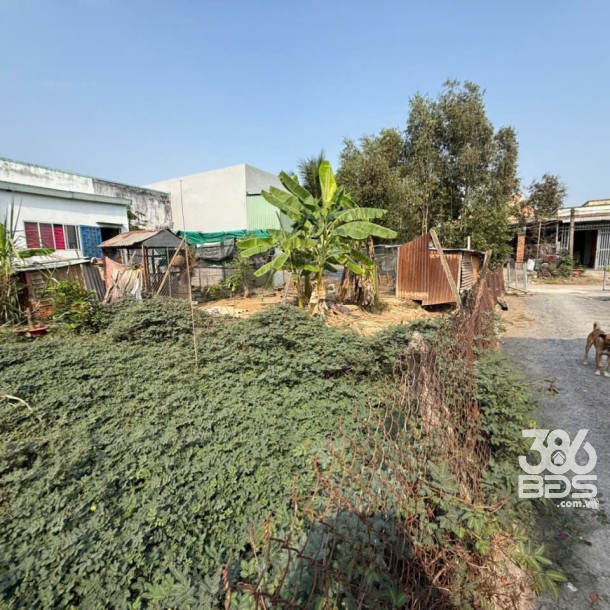 Bán nền thổ cư đường xe tải 10t ở ấp 9 , Lương Hòa dt 200m2 giá 2 tỷ-5