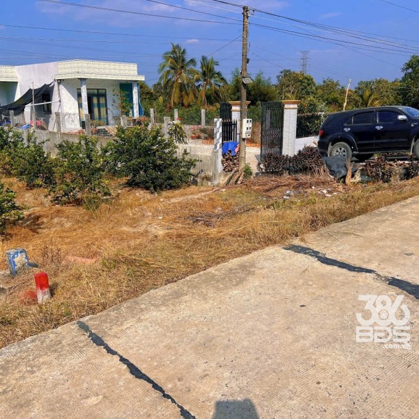 Bán đất vườn mt đường beton Ba Vồn Lớn , Thạnh Hòa, Bến Lức dt 1000m2 giá 1,49 tỷ-3