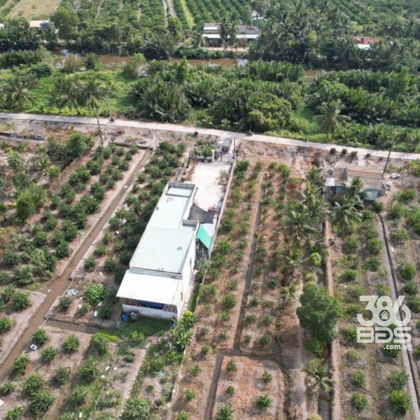 Bán đất vườn mt đường beton Ba Vồn Lớn , Thạnh Hòa, Bến Lức dt 1000m2 giá 1,49 tỷ-4