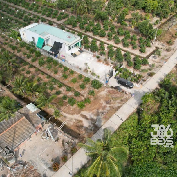 Bán đất vườn mt đường beton Ba Vồn Lớn , Thạnh Hòa, Bến Lức dt 1000m2 giá 1,49 tỷ-5